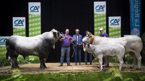 Passy et Gazette forment le couple de l'année 2022, ayant tous deux remporté les titres de championnat au concours national de la race gasconne des Pyrénées, organisé au Sommet de l'élevage. Passy et Gazette forment le couple de l'année 2022, ayant tous deux remporté les titres de championnat au concours national de la race gasconne des Pyrénées, organisé au Sommet de l'élevage.