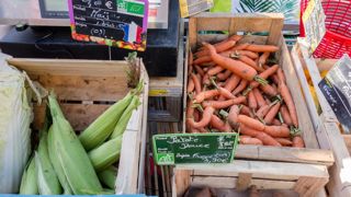 La Confédération paysanne fustige le "désengagement de l'Etat" pour l'agriculture biologique. La Confédération paysanne fustige le "désengagement de l'Etat" pour l'agriculture biologique.