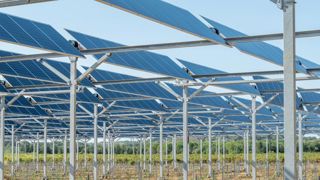La filière agrivoltaïque se fédère dans France Agrivoltaïsme La filière agrivoltaïque se fédère dans France Agrivoltaïsme