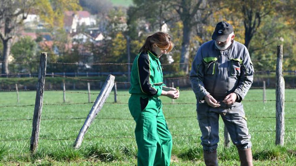 Les durées minimales des stages sont raccourcies