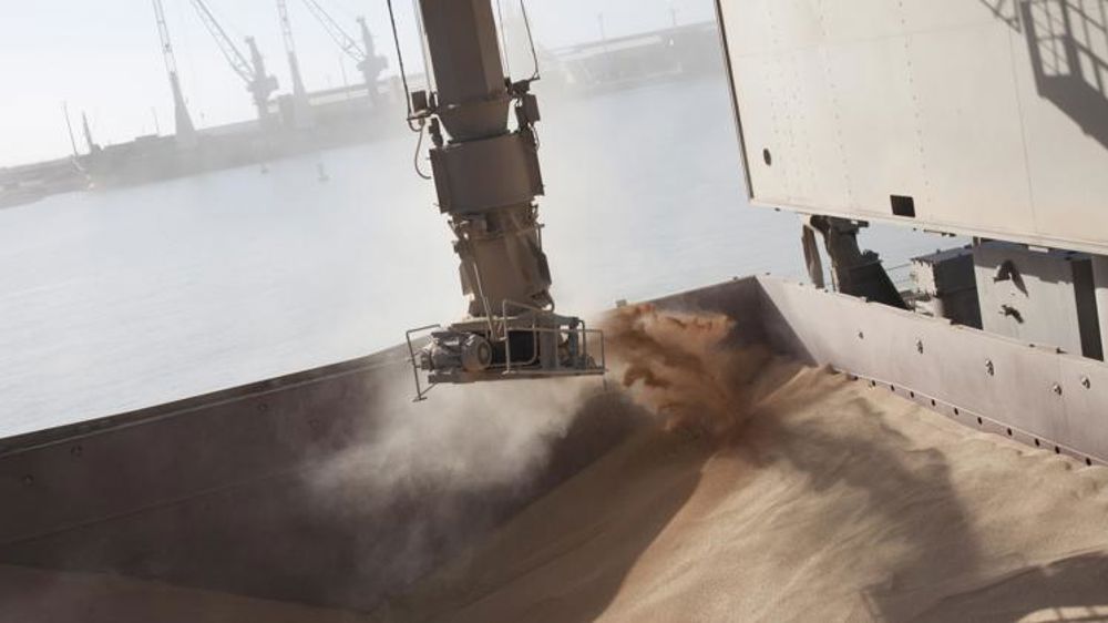 Les prix du blé et du colza s’affaissent, le maïs résiste