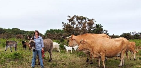 Grâce à ses voisins, Katell Lorre, paysanne galétière, a pu agrandir ses terres pour cultiver elle-même son blé noir et faire pâturer son troupeau. © Daniel Huon