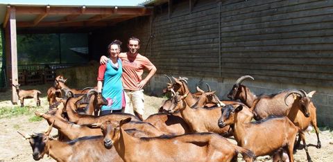 Damien Ernault et sa compagne Lucie Hospital ont pu agrandir leurs terres agricoles pour leurs 90 chèvres bio grâce aux 11 hectares qu’ils louent au GFA. © Daniel Huon