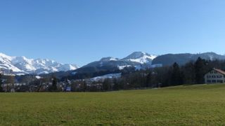 Les Suisses ne disent pas non aux phytos Les Suisses ne disent pas non aux phytos
