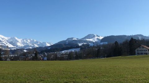 Les Suisses ne disent pas non aux phytos Les Suisses ne disent pas non aux phytos