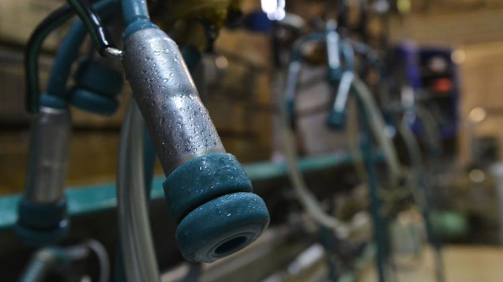 En avril, la collecte laitière dépasse son niveau de 2020