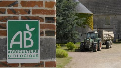 Des chercheurs imaginent un scénario 100 % bio en 2050