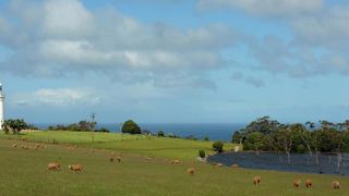 L’accord entre l’Australie et le Royaume-Uni inquiète les éleveurs ovins L’accord entre l’Australie et le Royaume-Uni inquiète les éleveurs ovins
