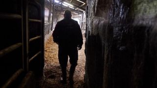 Un plan d’actions en septembre face au mal-être des agriculteurs Un plan d’actions en septembre face au mal-être des agriculteurs