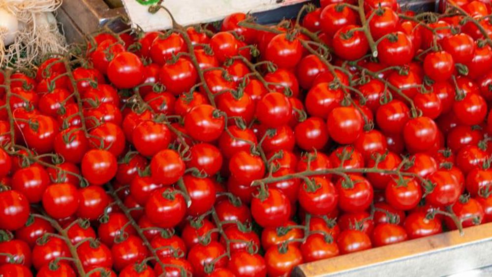 En 2021, les tomates voient rouge