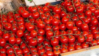 En 2021, les tomates voient rouge En 2021, les tomates voient rouge