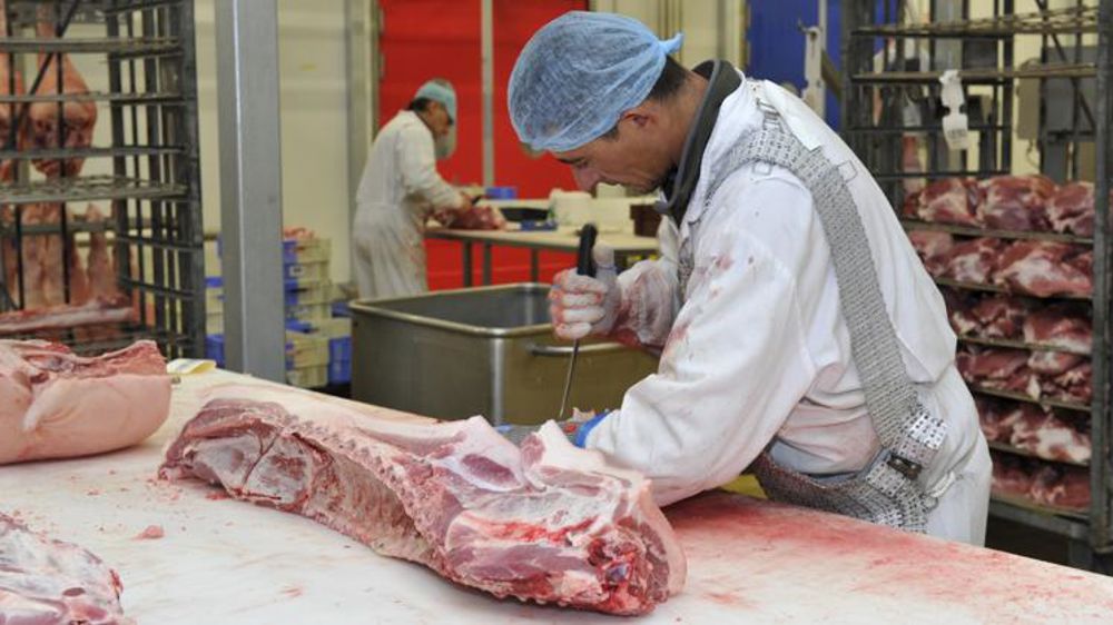 Le gouvernement lance son « plan abattoirs »