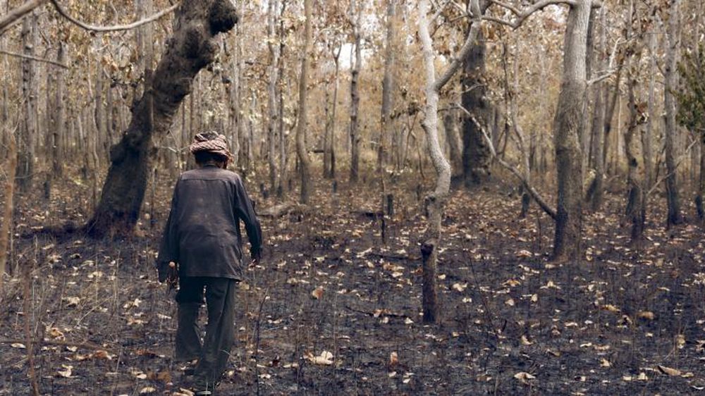 Bolloré gagne face à des paysans cambodgiens