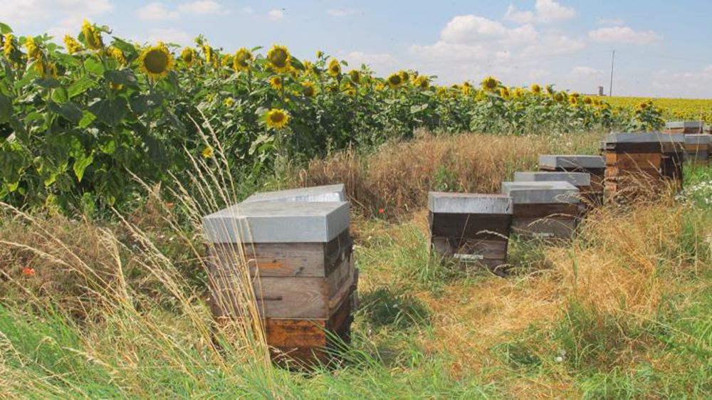 Apiculteurs et agriculteurs signent une convention-cadre