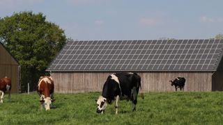 Le gouvernement veut réduire l’impact environnemental du solaire Le gouvernement veut réduire l’impact environnemental du solaire
