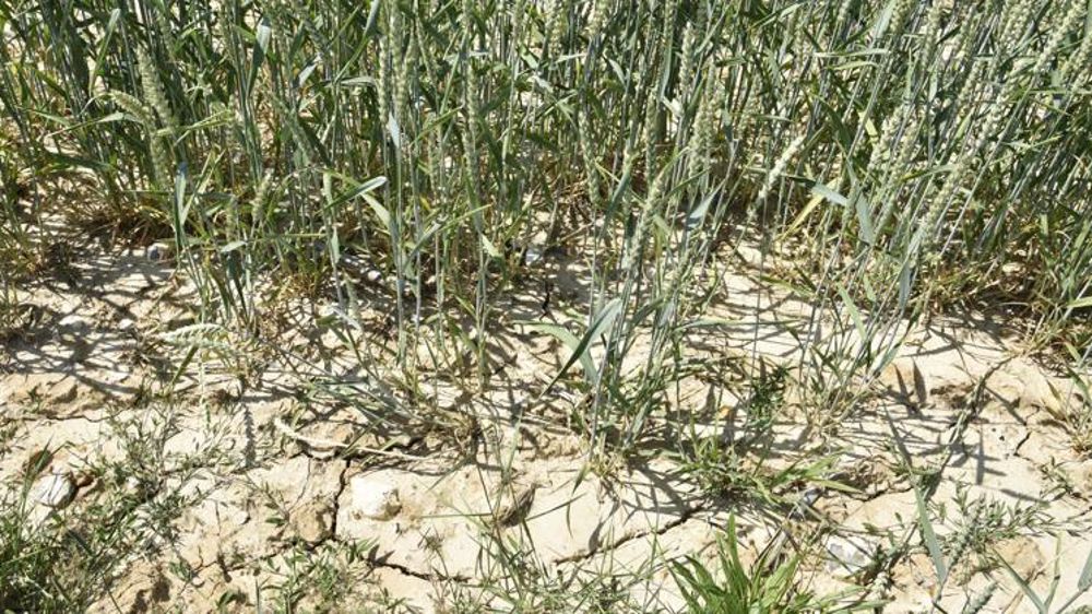 Les chantiers du Varenne de l’eau se poursuivent