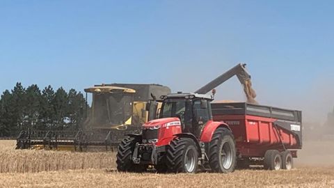 Les beaux jours ont profité à la moisson Les beaux jours ont profité à la moisson