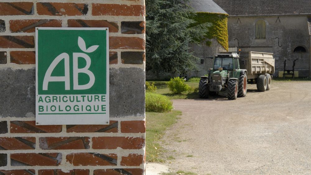 L’agriculture biologique, un marché de 13,2 milliards