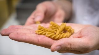 Les fabricants de pâtes craignent une pénurie de blé dur Les fabricants de pâtes craignent une pénurie de blé dur
