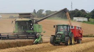 Le rideau tombe (enfin) sur la moisson Le rideau tombe (enfin) sur la moisson