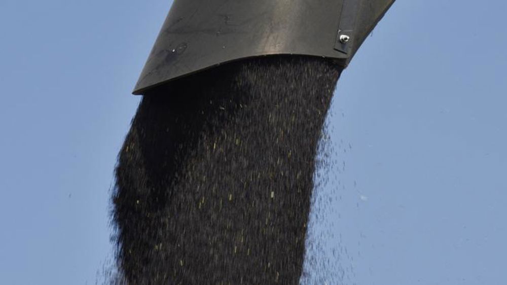 Les montants des deux nouvelles CVO oléoprotéagineux sont connus