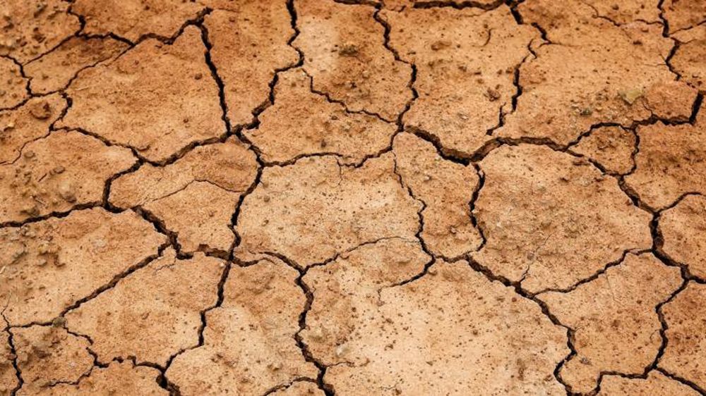 La sécheresse menace sept millions d’agriculteurs en Afghanistan