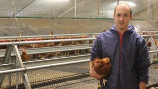 « L’ovosexage, c’est un surcoût de 1,10 à 3,40 € par poulette » « L’ovosexage, c’est un surcoût de 1,10 à 3,40 € par poulette »
