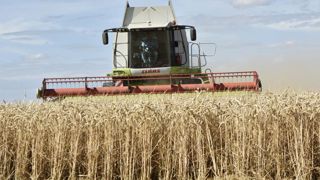 Le rendement national du blé tendre estimé à 73 q/ha Le rendement national du blé tendre estimé à 73 q/ha