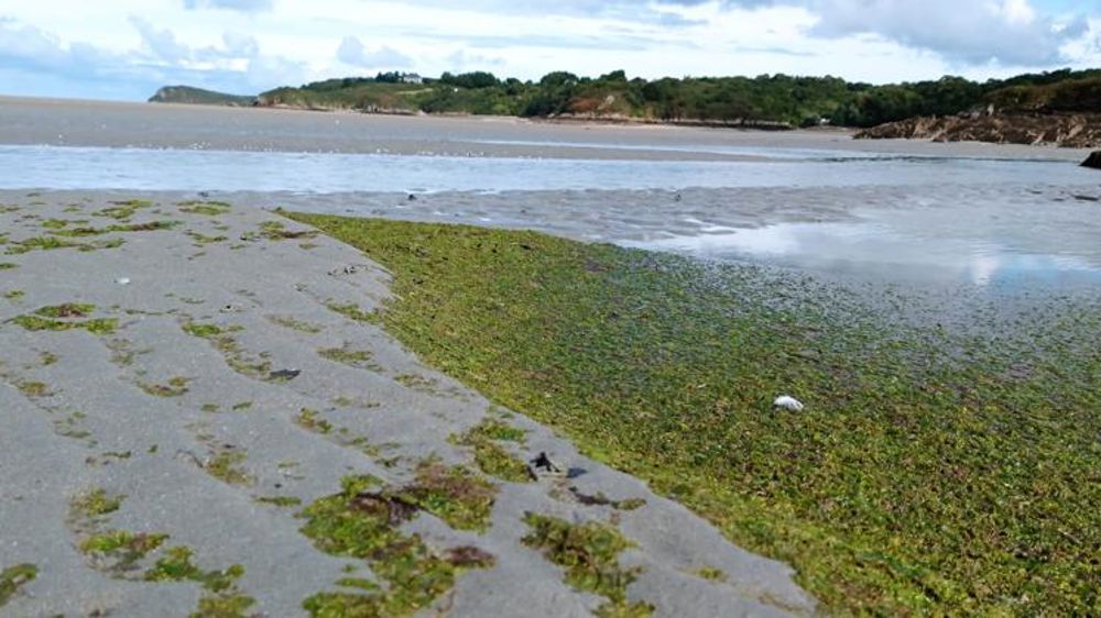 Les agriculteurs stigmatisés par des associations militantes