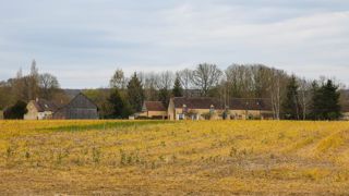 Pour Générations futures, les industriels trient les études sur le glyphosate Pour Générations futures, les industriels trient les études sur le glyphosate