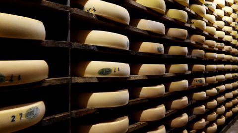 Des ONG saluent la durabilité de la filière du Comté Des ONG saluent la durabilité de la filière du Comté