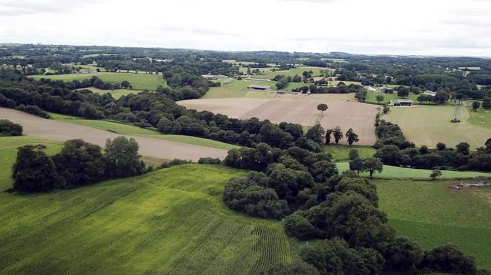 Les dépenses favorables à l’environnement augmentent
