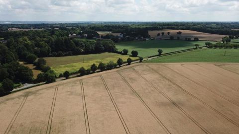 La future Pac n’est pas assez verte pour l’Autorité environnementale La future Pac n’est pas assez verte pour l’Autorité environnementale