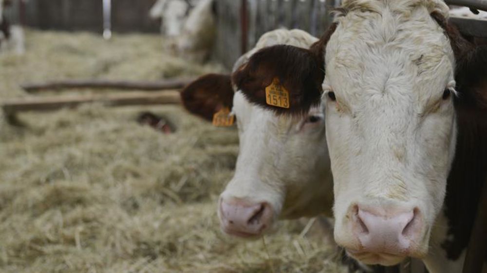 L’Europe veut aller plus loin dans la réduction des émissions de méthane