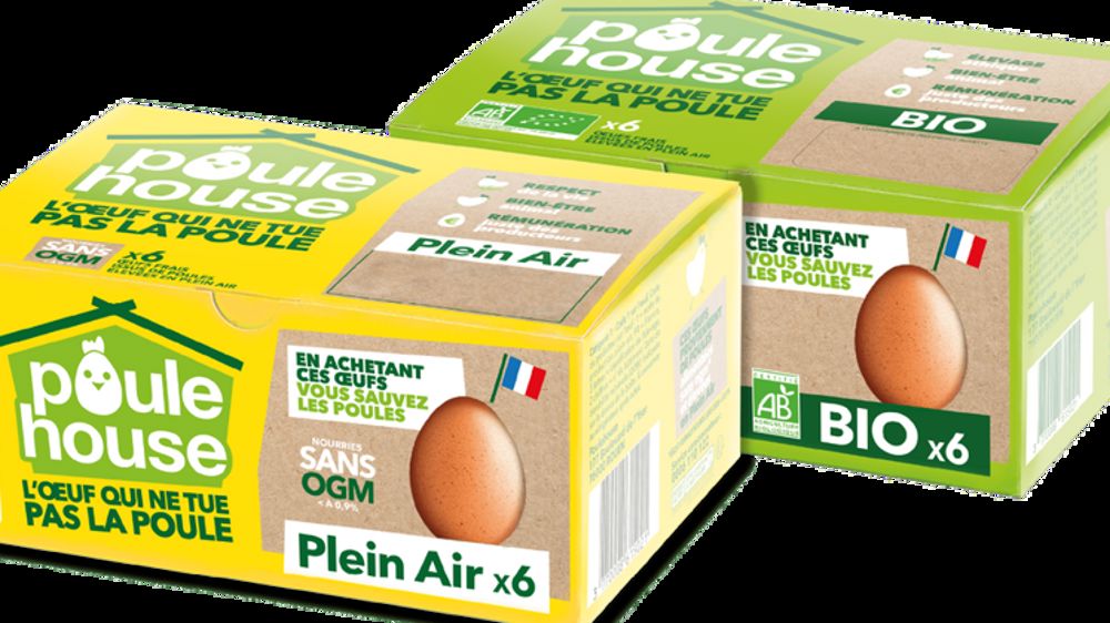 Les poules retraitées de Poulehouse se disent « en grand péril »