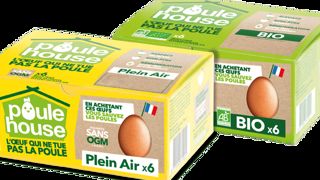 Les poules retraitées de Poulehouse se disent « en grand péril » Les poules retraitées de Poulehouse se disent « en grand péril »