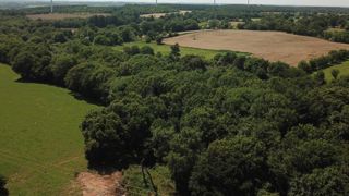 La filière du bois français sous tension La filière du bois français sous tension