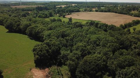 La filière du bois français sous tension La filière du bois français sous tension