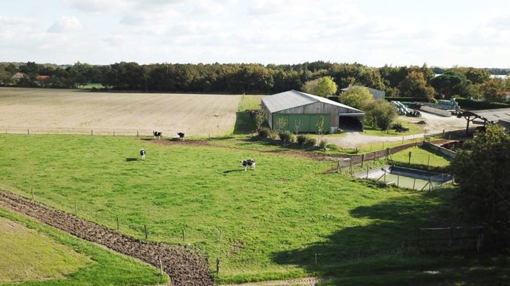 Les prix des terres en 2020 publiés par le ministère