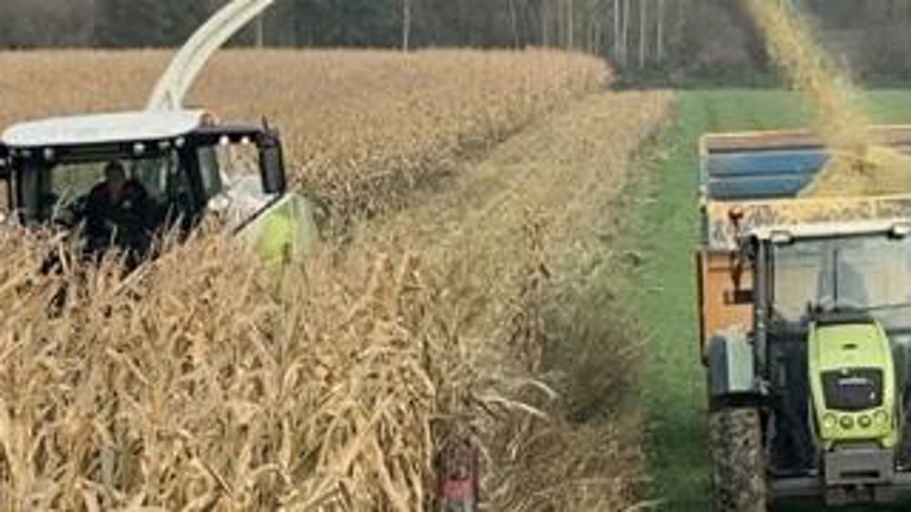 Les semis et les récoltes continuent