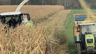 Les semis et les récoltes continuent Les semis et les récoltes continuent