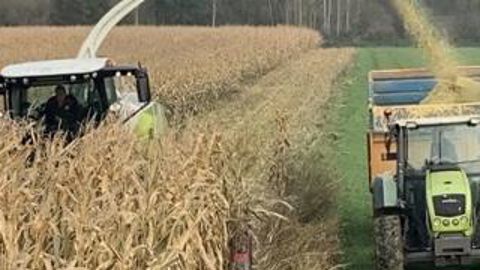 Les semis et les récoltes continuent Les semis et les récoltes continuent