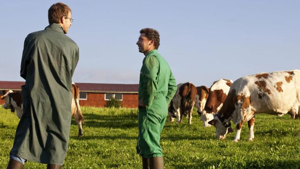 L’élevage consomme moins d’antibiotiques