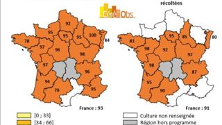 Récolte de maïs et semis de céréales touchent à leur fin Récolte de maïs et semis de céréales touchent à leur fin