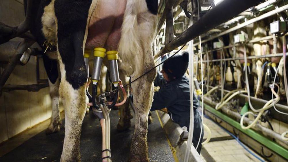 Réduire la production pour faire monter les prix du lait bio