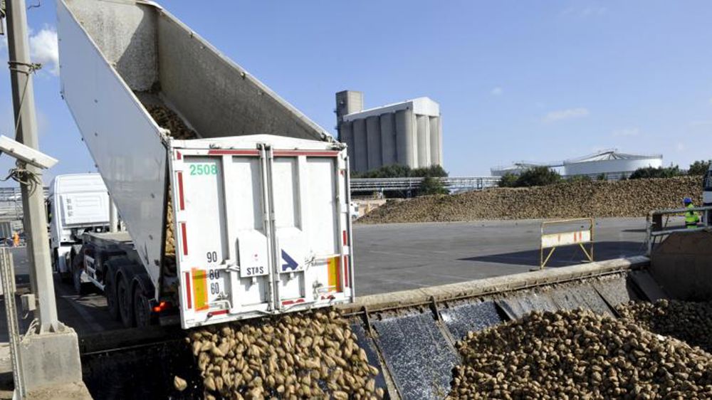 Cristal Union augmente la rémunération des betteraves à 29 €/t