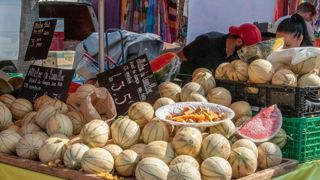 Le melon a connu bien des pépins Le melon a connu bien des pépins