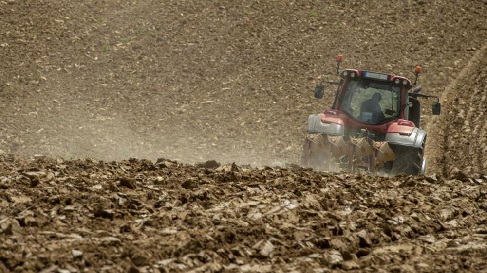 Le stockage du carbone dans les sols est difficile à estimer