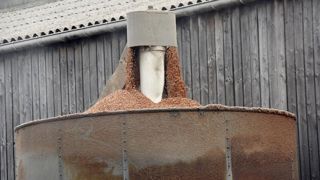 Les céréales tirent les prix à la production à la hausse Les céréales tirent les prix à la production à la hausse