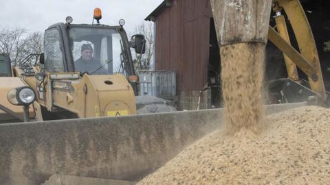 La production d’aliments du bétail a reculé en septembre La production d’aliments du bétail a reculé en septembre